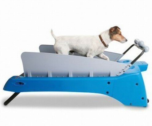 Fuente Imagen: http://www.coolest-gadgets.com/wp-content/uploads/canine-treadmill_ch2hl_52.jpg