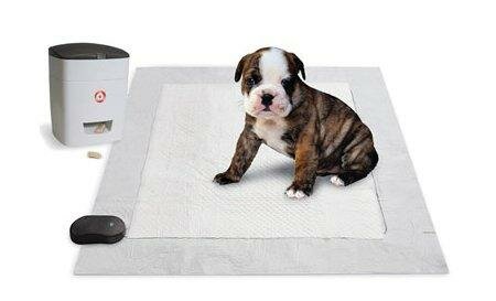 Fuente Imagen: http://www.coolest-gadgets.com/wp-content/uploads/2013/09/pavlovian-potty.jpg