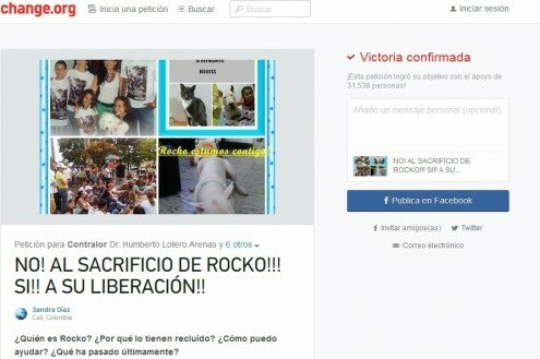 Imagen: https://www.change.org/p/no-al-sacrificio-de-rocko-si-a-su-liberaci%C3%B3n